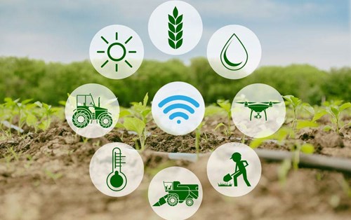 Ngành nông nghiệp công nghệ cao thách thức và cơ hội